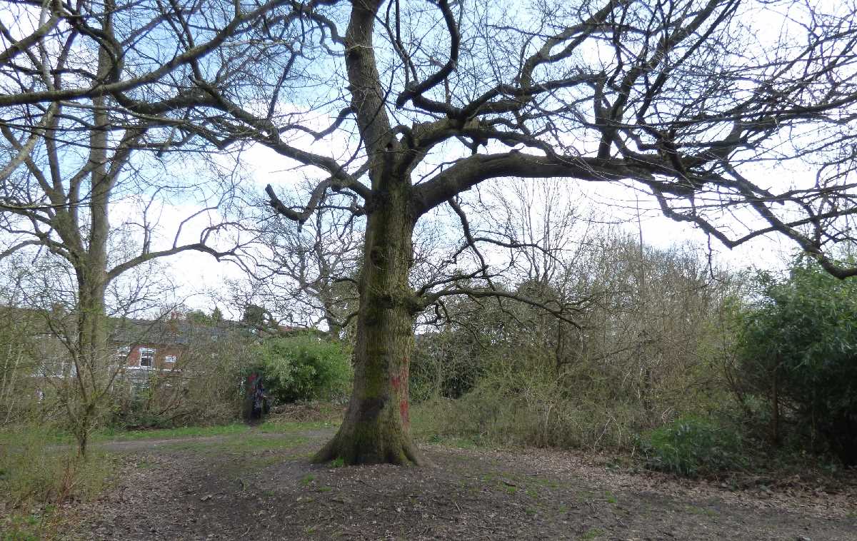 Kings Heath Park (April 2018)